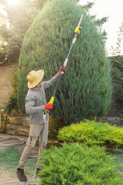 Best Hazardous Tree Removal  in Guthrie Center, IA